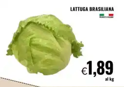 Famila Lattuga brasiliana offerta