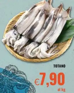 Famila Totano offerta