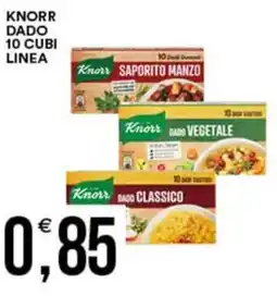 Vantaggio Cash&Carry Knorr dado 10 cubi linea offerta