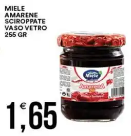 Vantaggio Cash&Carry Miele amarene sciroppate vaso vetro offerta