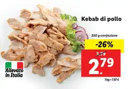 Lidl Kebab di pollo offerta