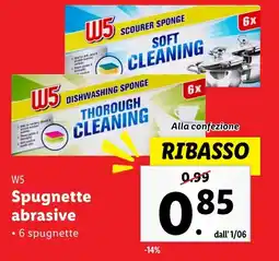 Lidl W5 Spugnette abrasive offerta