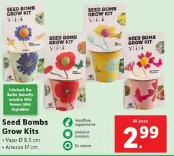 Lidl Seed Bombs Grow Kits offerta