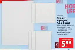 Lidl crelando Tela per dipingere, 1, 2 o 3 pezzi offerta