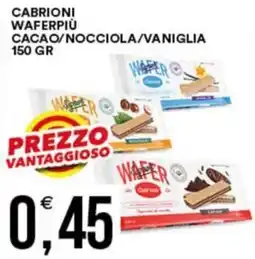 Vantaggio Cash&Carry Cabrioni waferpiù cacao/nocciola/vaniglia offerta