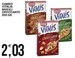 Vantaggio Cash&Carry Cameo vitalis muesli croccante offerta