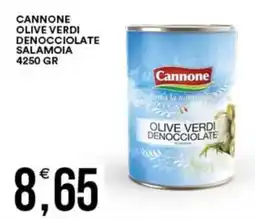 Vantaggio Cash&Carry Cannone olive verdi denocciolate salamoia offerta