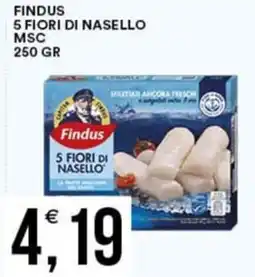 Vantaggio Cash&Carry Findus 5 fiori di nasello MSC offerta