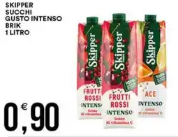 Vantaggio Cash&Carry Skipper succhi gusto intenso brik offerta