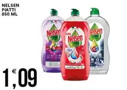 Vantaggio Cash&Carry Nelsen piatti offerta