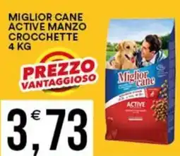 Vantaggio Cash&Carry Miglior cane active manzo crocchette offerta