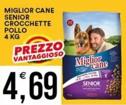 Vantaggio Cash&Carry Miglior cane senior crocchette pollo offerta