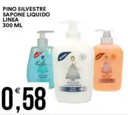 Vantaggio Cash&Carry Pino silvestre sapone liquido linea offerta