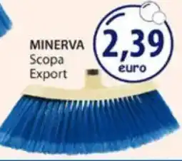 Acqua & Sapone MINERVA Scopa Export offerta