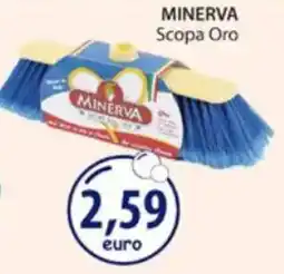 Acqua & Sapone MINERVA Scopa Oro offerta