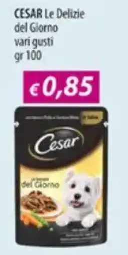 Acqua & Sapone CESAR Le Delizie del Giorno vari gusti offerta