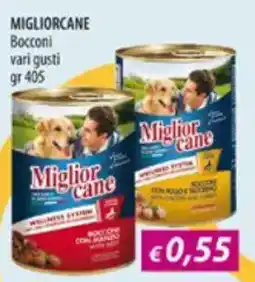 Acqua & Sapone MIGLIORCANE Bocconi vari gusti offerta