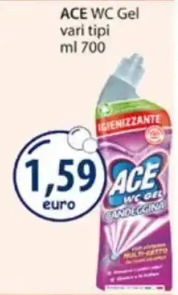 Acqua & Sapone ACE WC Gel vari tipi offerta