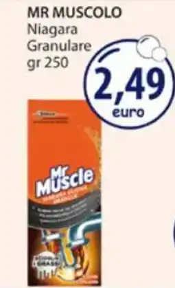 Acqua & Sapone MR MUSCOLO Niagara Granulare offerta