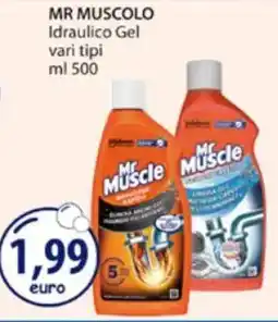 Acqua & Sapone MR MUSCOLO Idraulico Gel vari tipi offerta