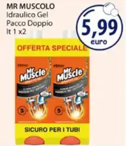 Acqua & Sapone MR MUSCOLO Idraulico Gel Pacco Doppio offerta