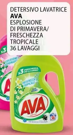 Gambardella Cash Detersivo lavatrice AVA offerta