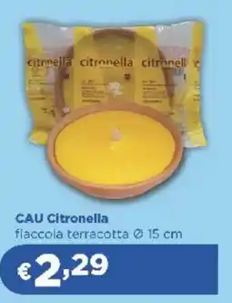 Acqua & Sapone CAU Citronella fiaccola terracotta offerta