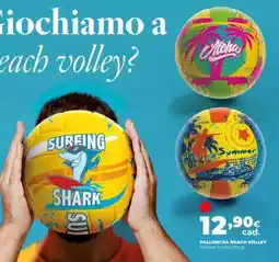 Coop Palloni da Beach Volley offerta