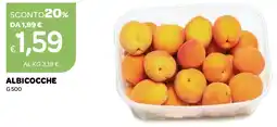 Ekom Albicocche offerta