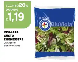 Ekom Insalata gusto e benessere offerta