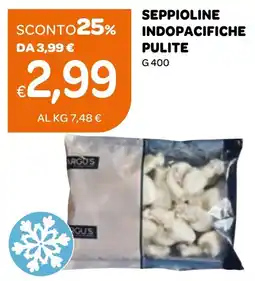 Seppioline indopacifiche pulite
