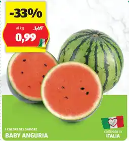 ALDI I colori del sapore baby anguria offerta