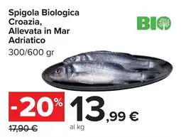 Carrefour Spigola Biologica Croazia, Allevata in Mar Adriatico offerta
