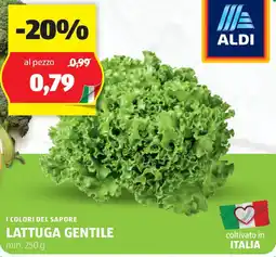 ALDI I colori del sapore lattuga gentile offerta