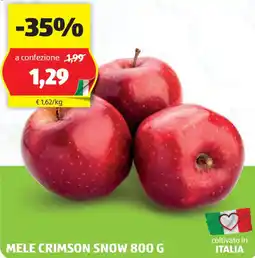 ALDI Mele crimson snow offerta