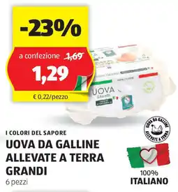 ALDI I colori del sapore uova da galline allevate a terra grandi offerta