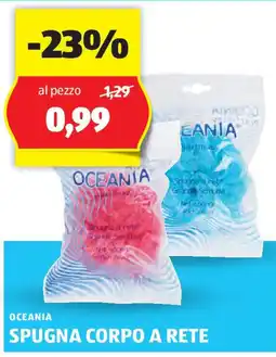 ALDI Oceania spugna corpo a rete offerta