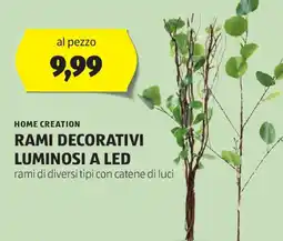 ALDI Home creation rami decorativi luminosi a led offerta