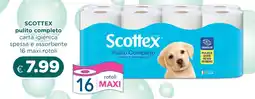 Acqua & Sapone SCOTTEX pulito completo carta igienica spessa e assorbente offerta