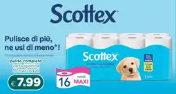 Acqua & Sapone Scottex pulito completo carta igienica offerta