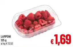 A&O Lamponi offerta