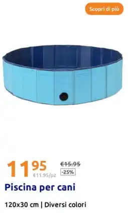 Action Scopri di più piscina per cani offerta