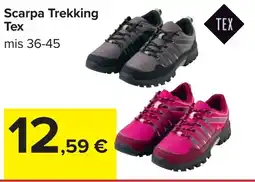 Carrefour Scarpa Trekking Tex offerta