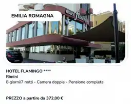 Carrefour Hotel flamingo offerta