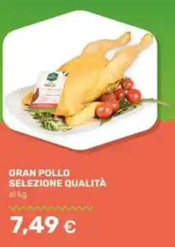 Tigre Gran pollo selezione qualità offerta