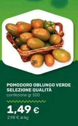 Tigre Pomodoro oblungo verde selezione qualità offerta