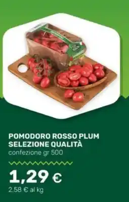 Tigre Pomodoro rosso plum selezione qualità offerta