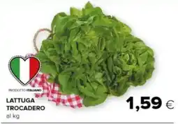 Tigre Lattuga trocadero offerta