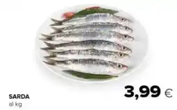 Tigre Sarda offerta