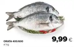 Tigre Orata 400/600 offerta